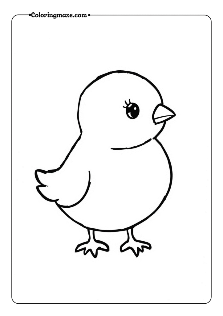 round baby chick